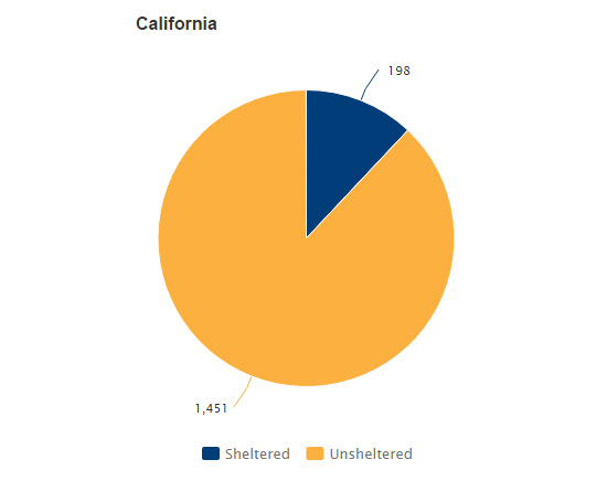 Unaccompanied Homeless Youth Graph